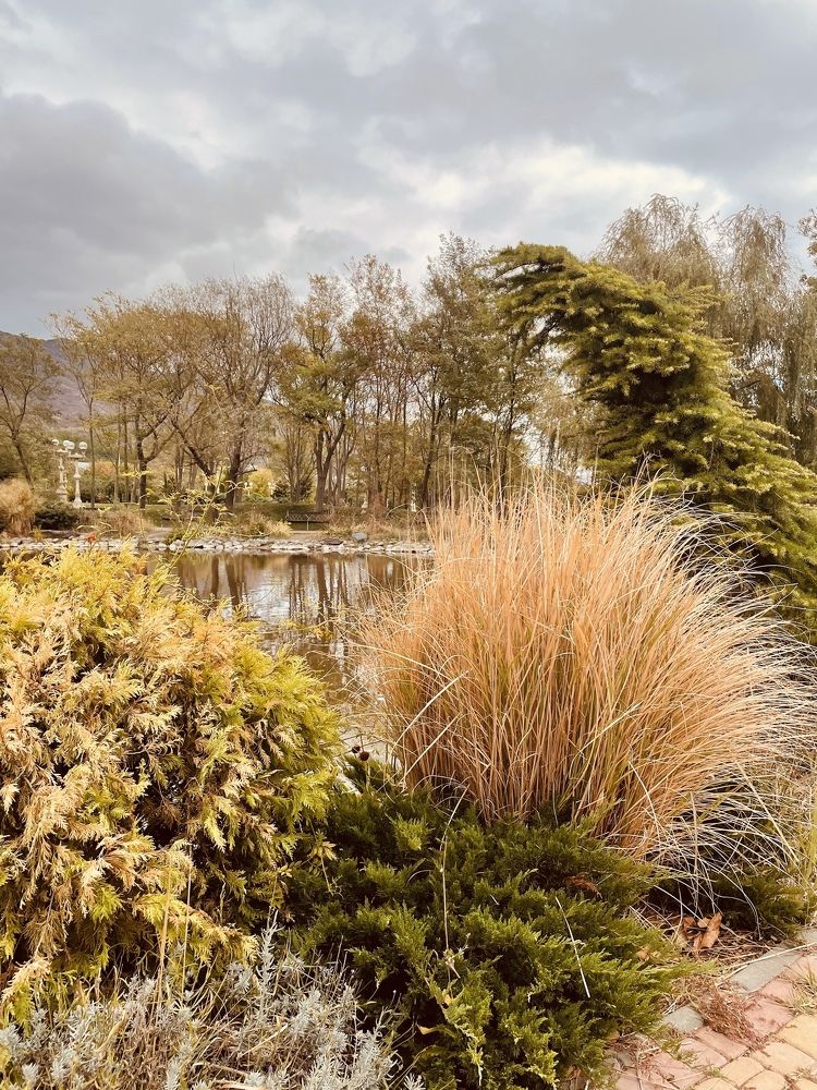 Photograph by Татьяна