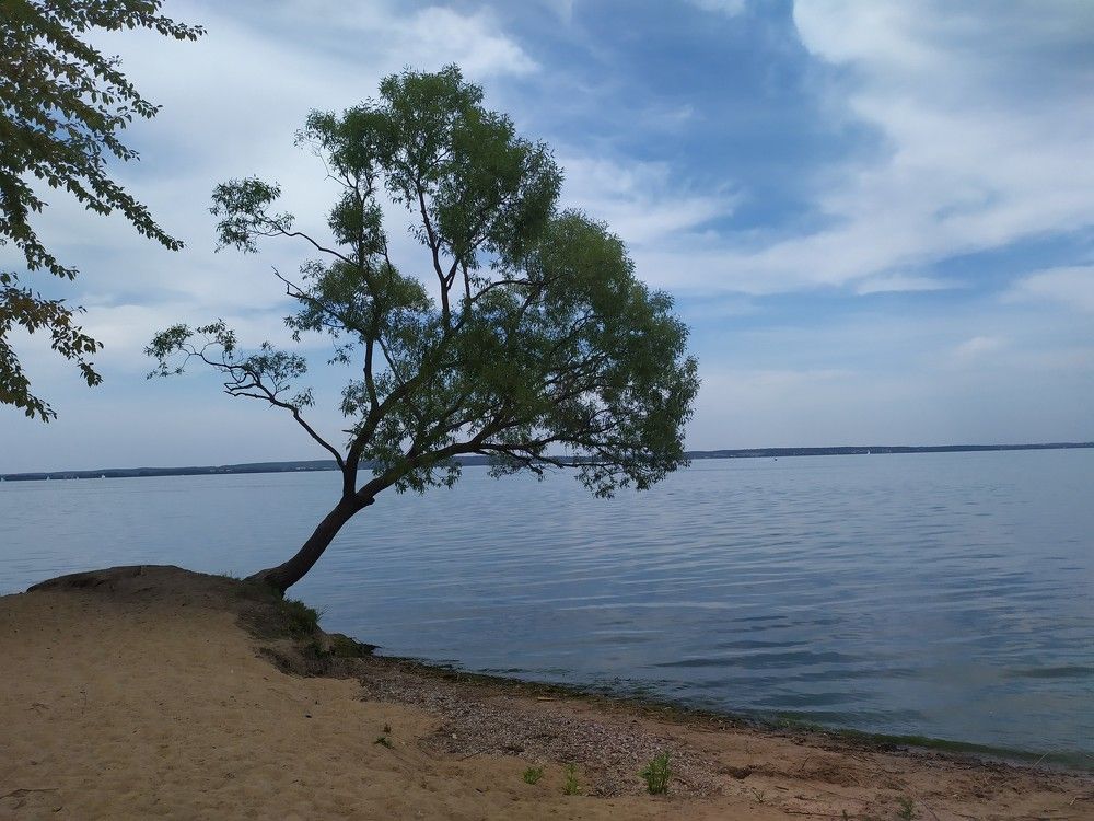 Photograph by Людмила Муравьева