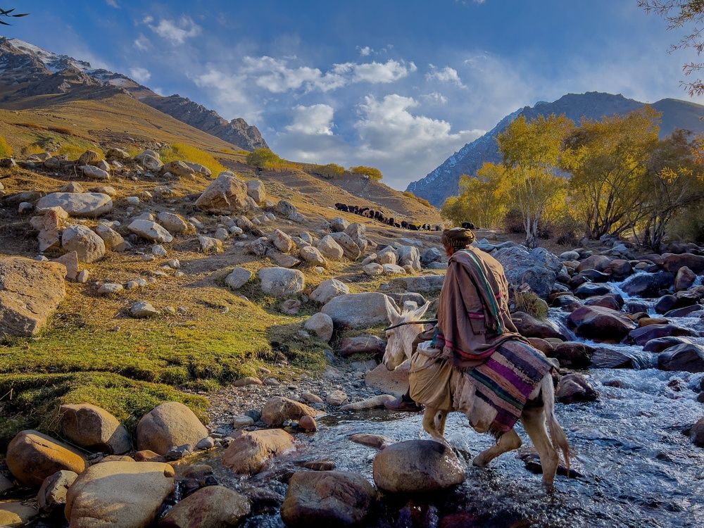 Photograph by Sardar Hasani