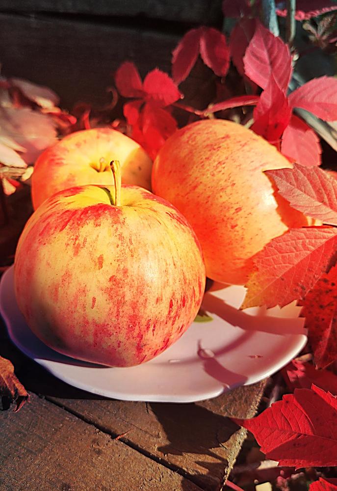 Photograph by Анна Андреевна