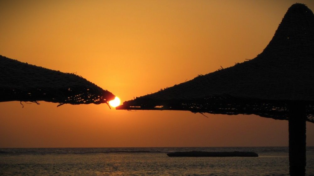 -Доброе?  Доброе)))