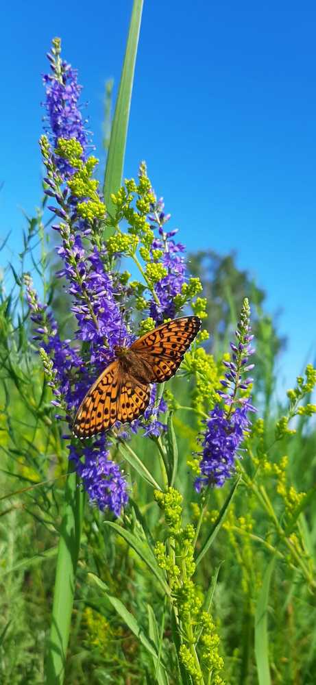 Photograph by ANDREY KISELYOV