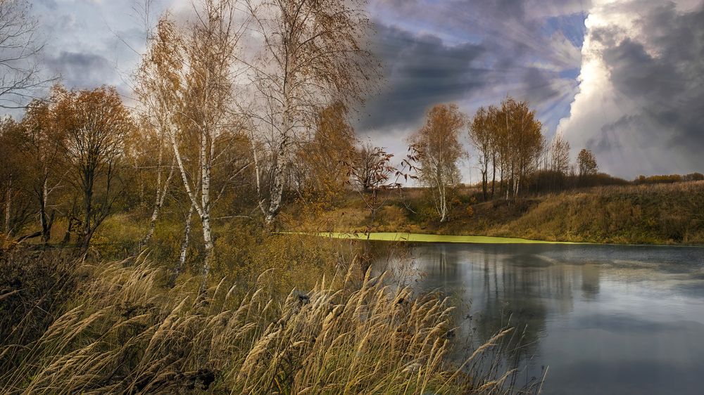 Photograph by Людмила Железнова