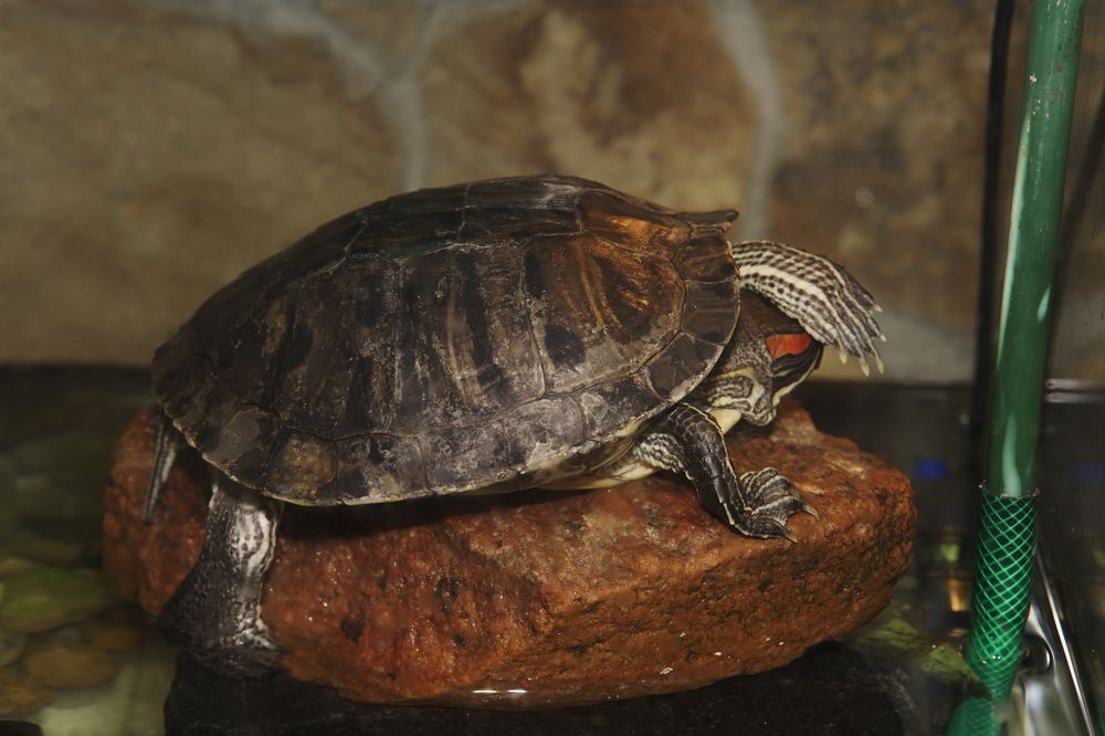 Photograph by Марина Вильдяева