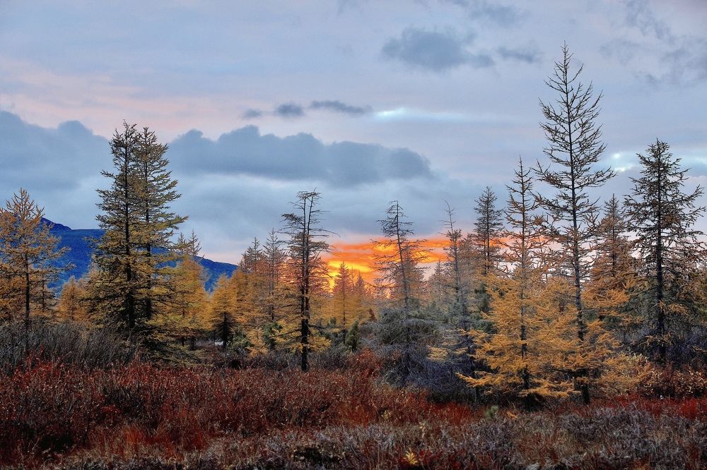 Фотография автора Leonid Golubkov