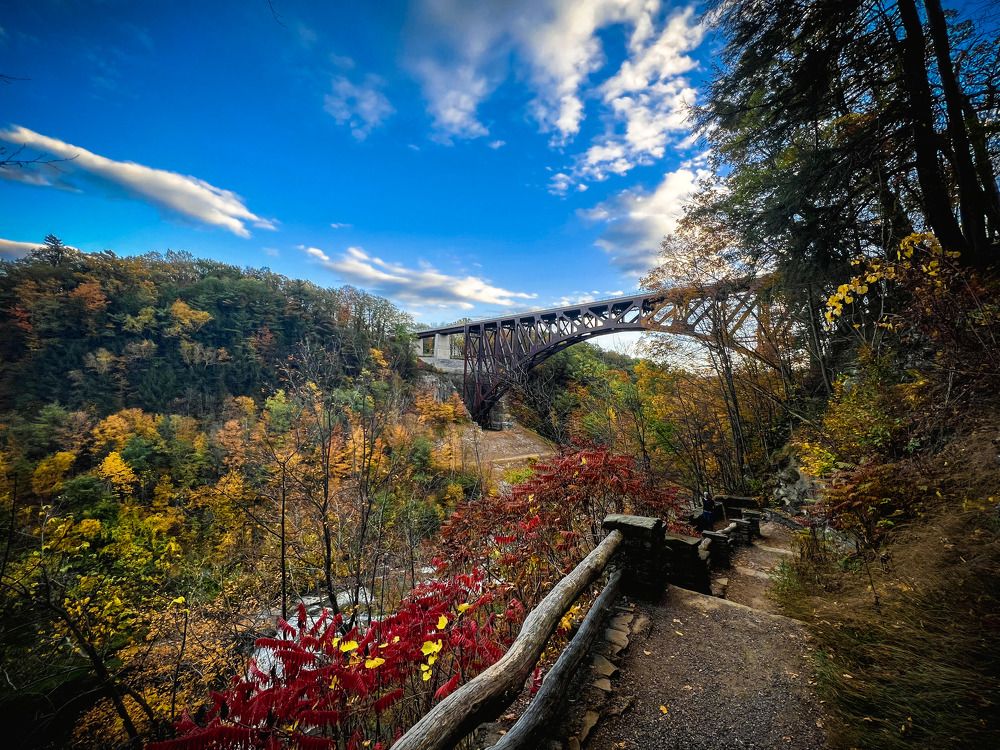 Photograph by Madelyn Stencel