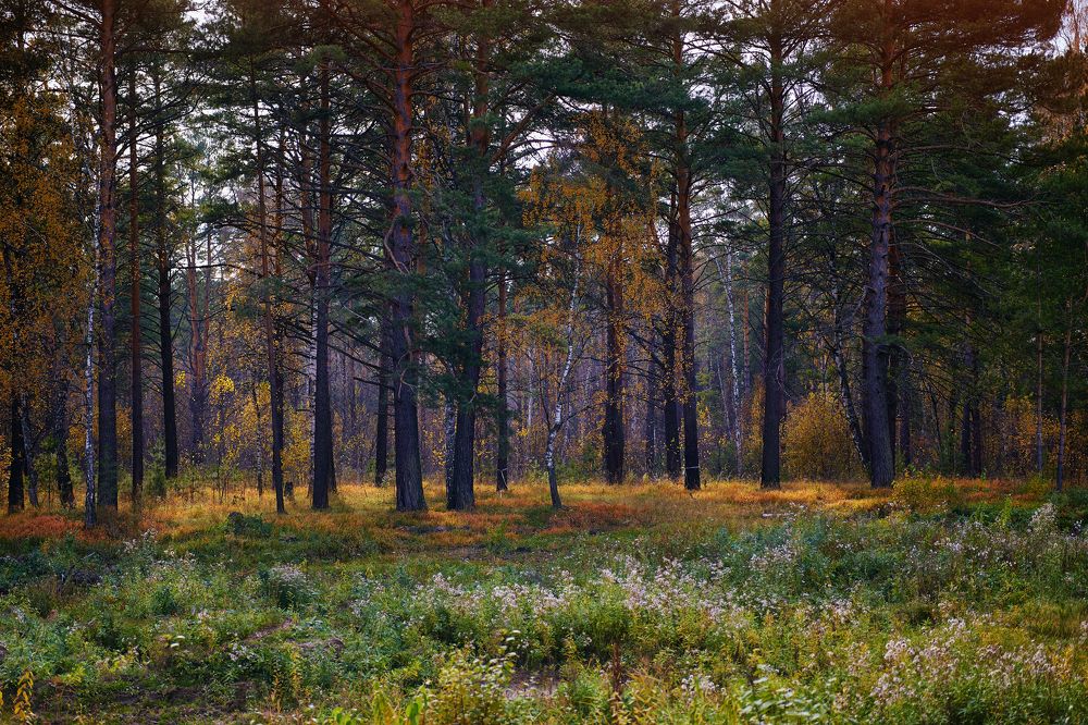 Photograph by Александр Мячин