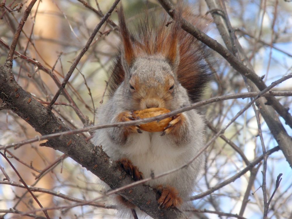 Photograph by Любовь Саханова