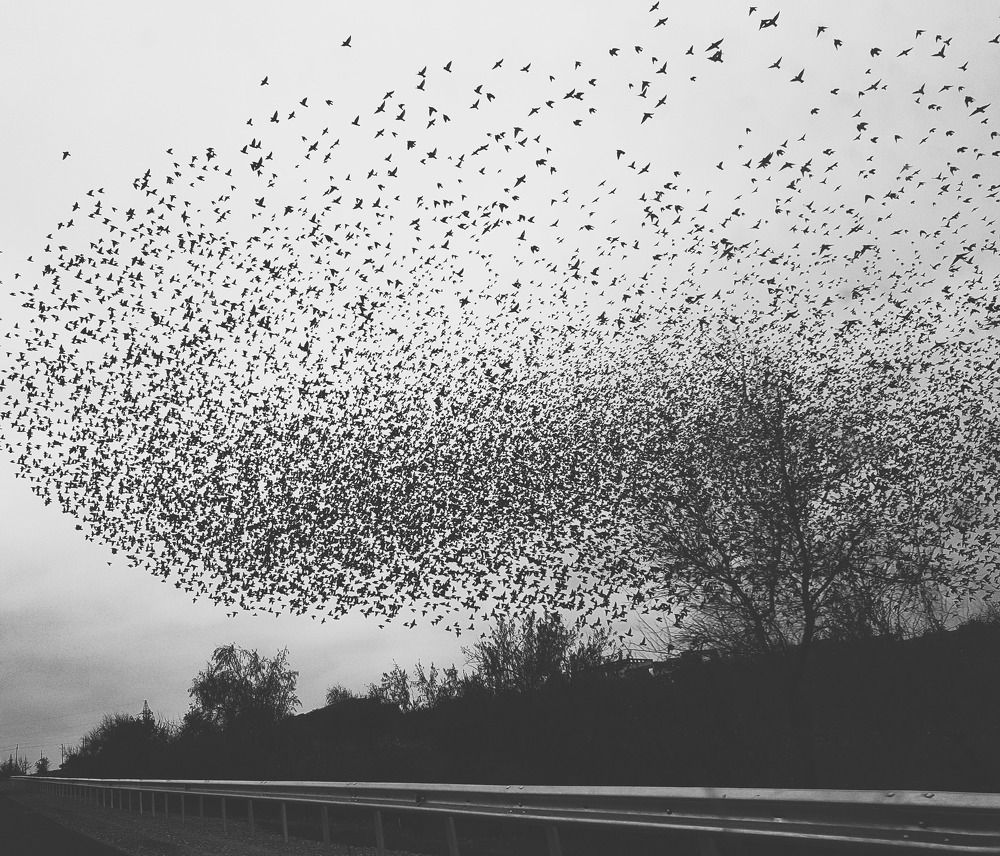 Photograph by Victoria Stoliarenko