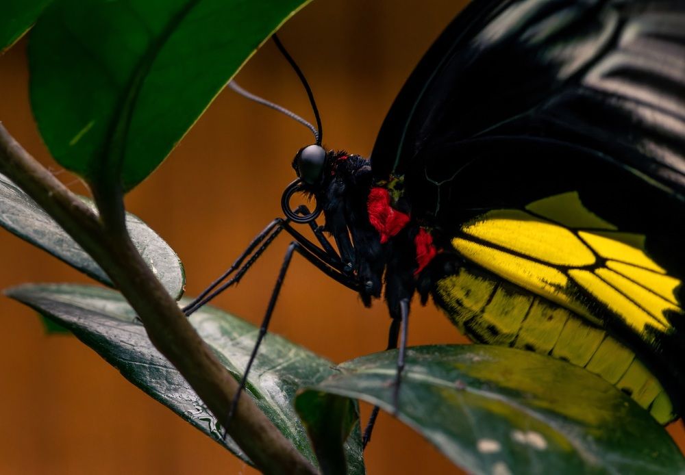 Photograph by Максим Кольцов