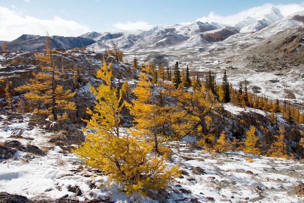 Photograph by Svetlana Dorokhova