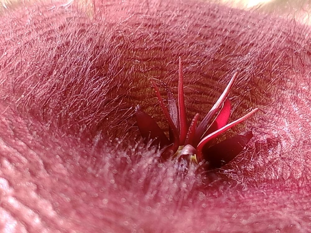 Photograph by Новиков Владимир