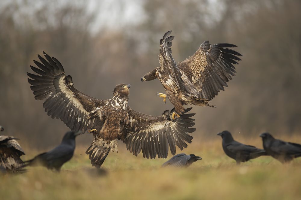 Photograph by Ernestas Balcikonis