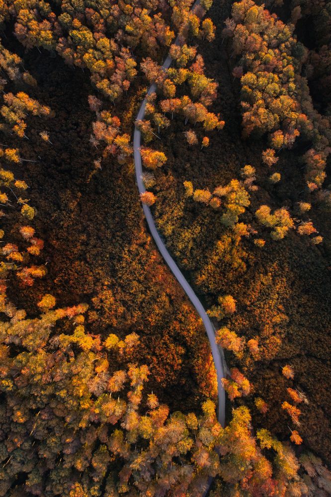 Photograph by Petar Dimitrov