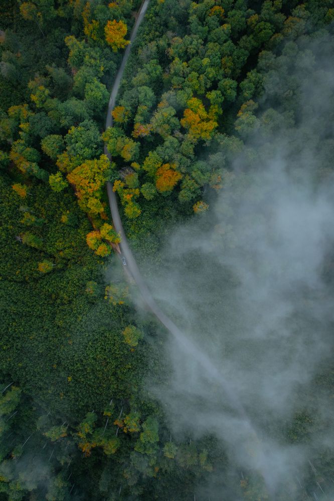 Photograph by Petar Dimitrov