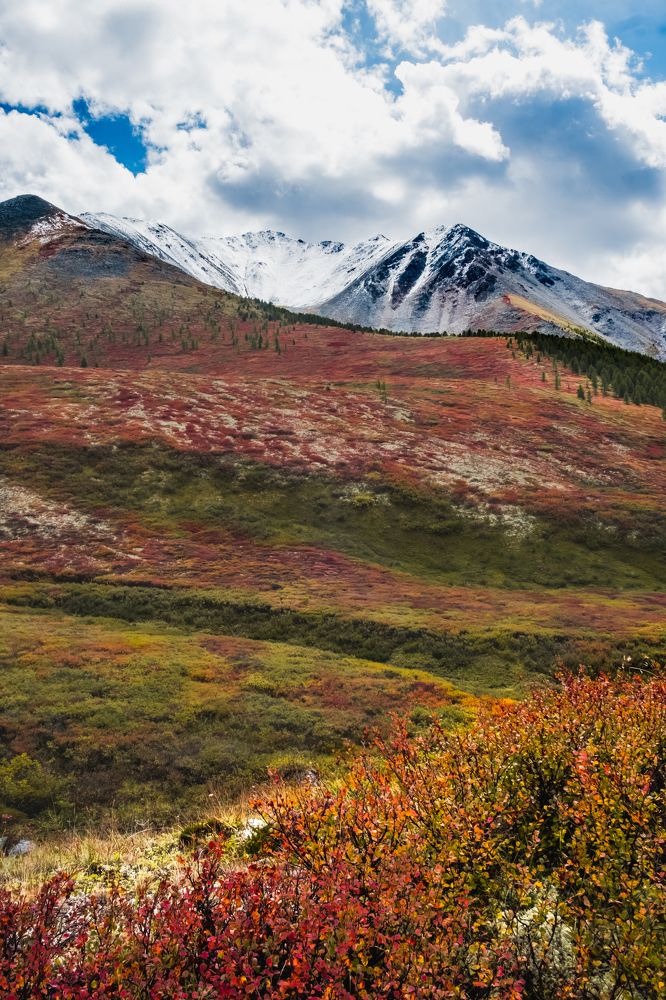 Photograph by Игорь Мальков