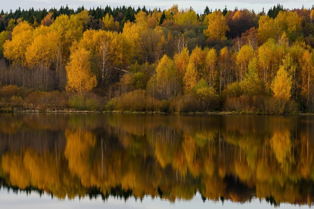 Photograph by Сергей Пупонин