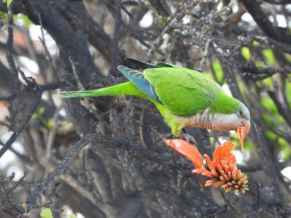 Photograph by  mohsenzadeh