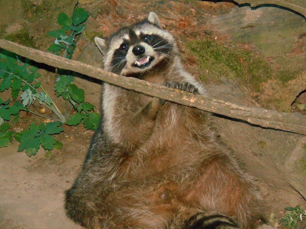 Photograph by Anna Veľasová