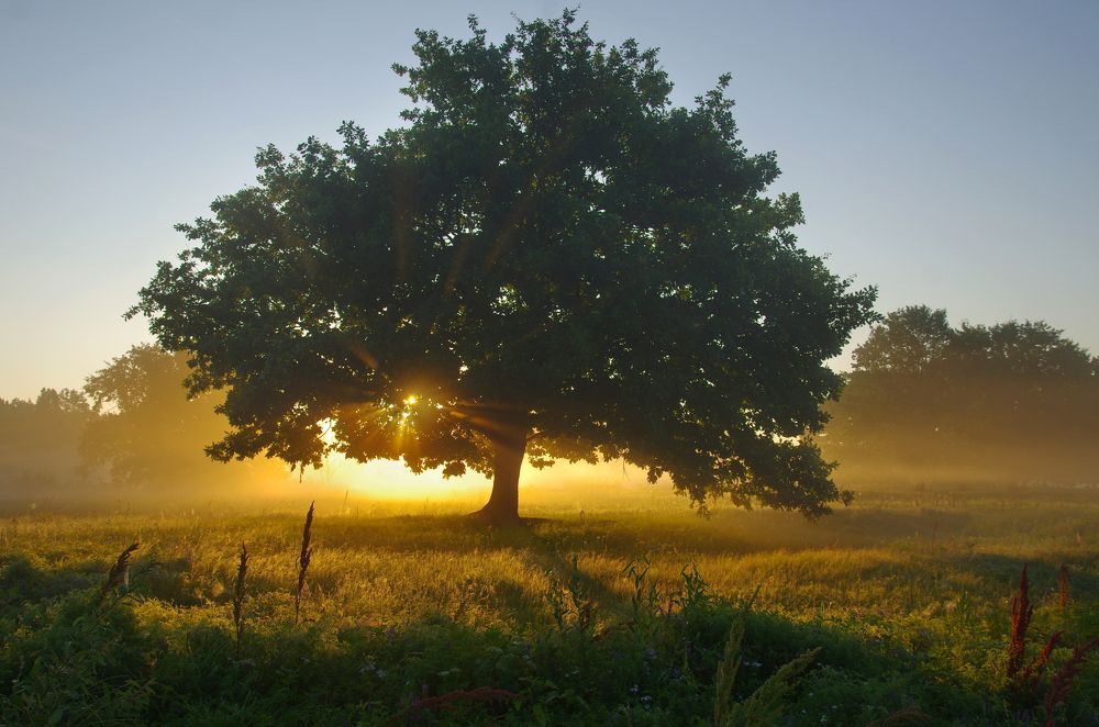 Photograph by Сергей Шляга