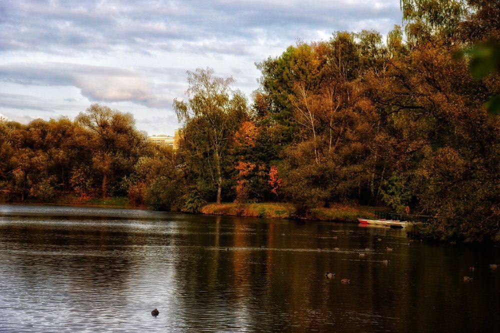 Photograph by Ирина Новицкая