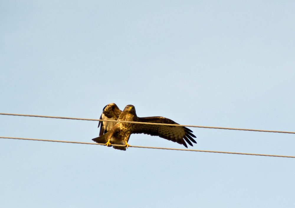 Фотография автора Юлия Кранина