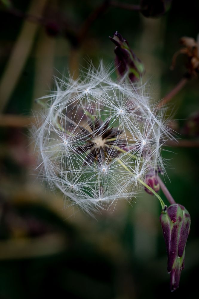 Фотография автора Клейменов Алексей
