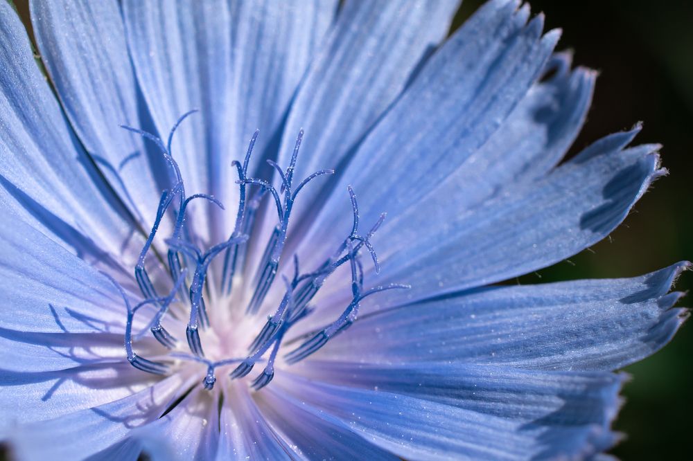 Photograph by Алексей Клейменов