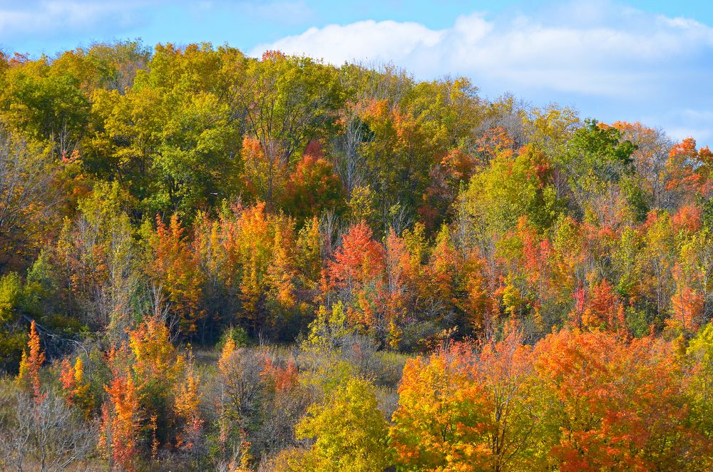 Photograph by Ken Oliver