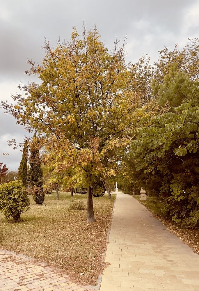 Photograph by Татьяна