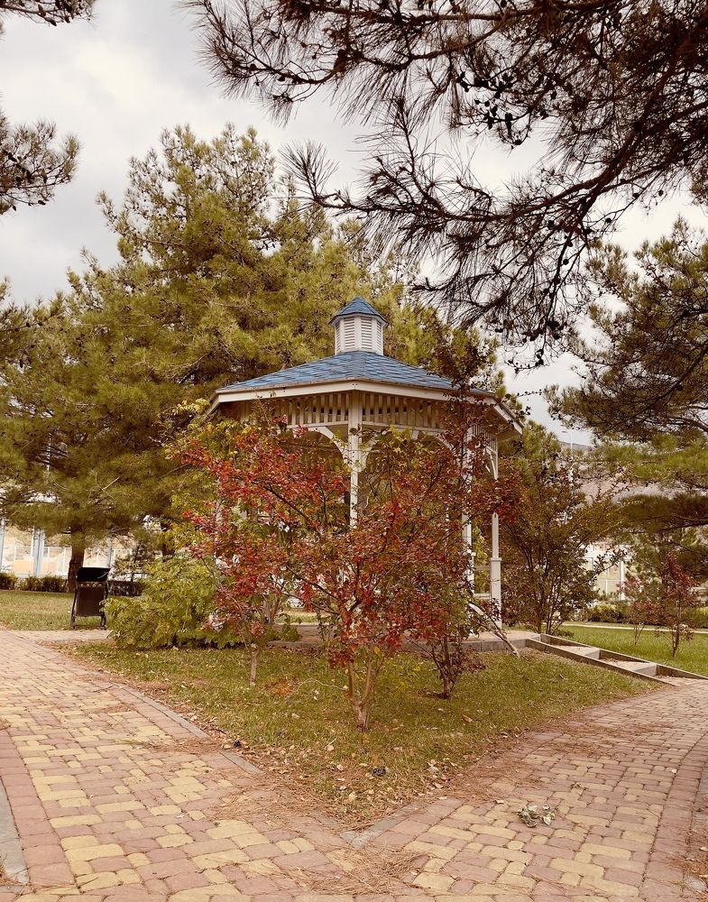 Photograph by Татьяна