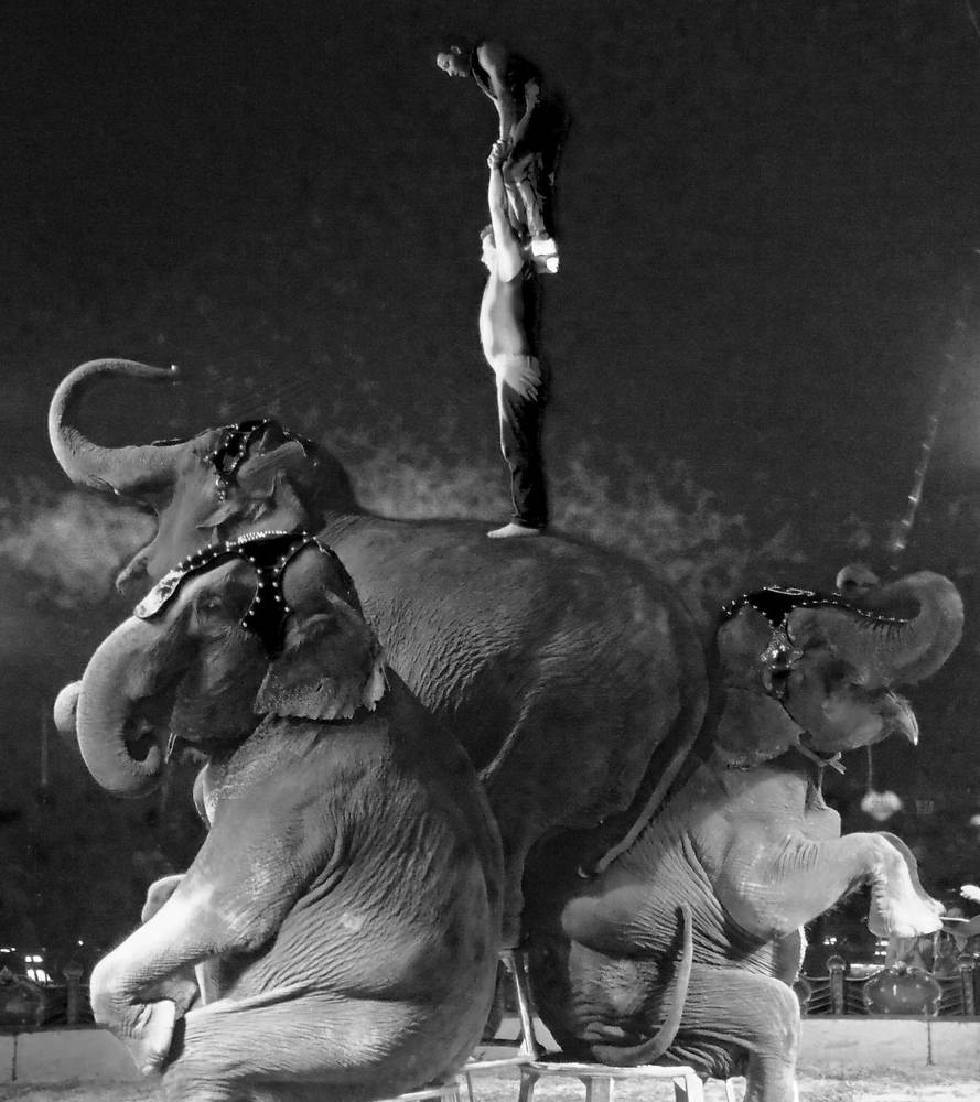 Photograph by Anna Veľasová