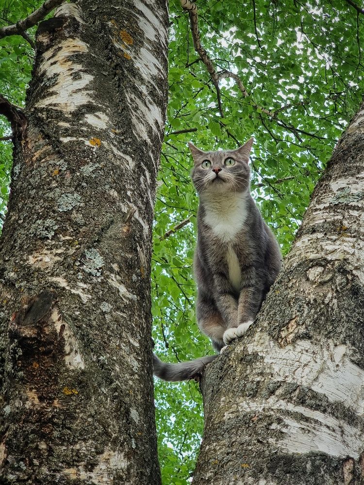 Photograph by Дина Чаица