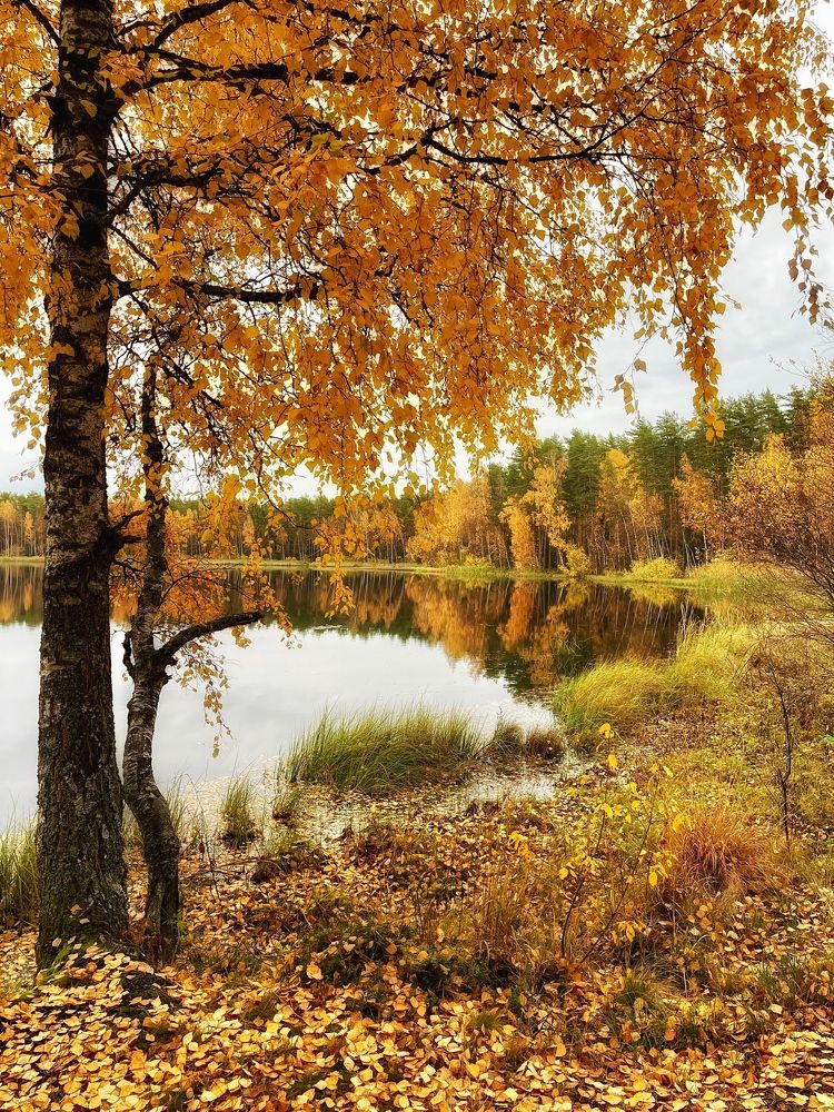 Photograph by Александра Некрасова