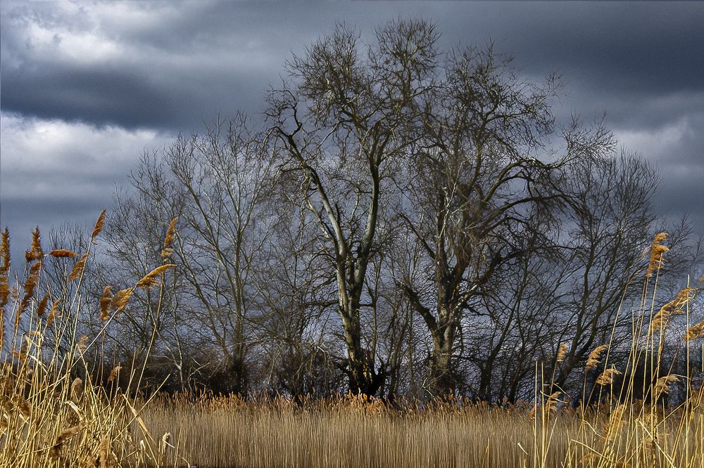 Photograph by Slavko Rošul