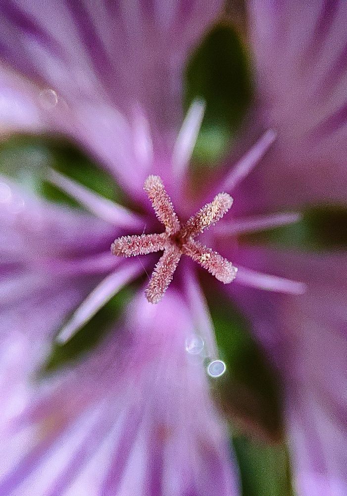 Photograph by Ehsan Fathi