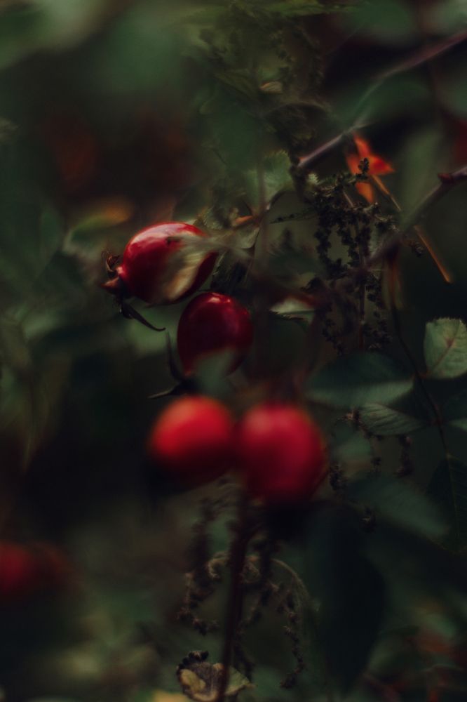 Photograph by Angelina Karelina