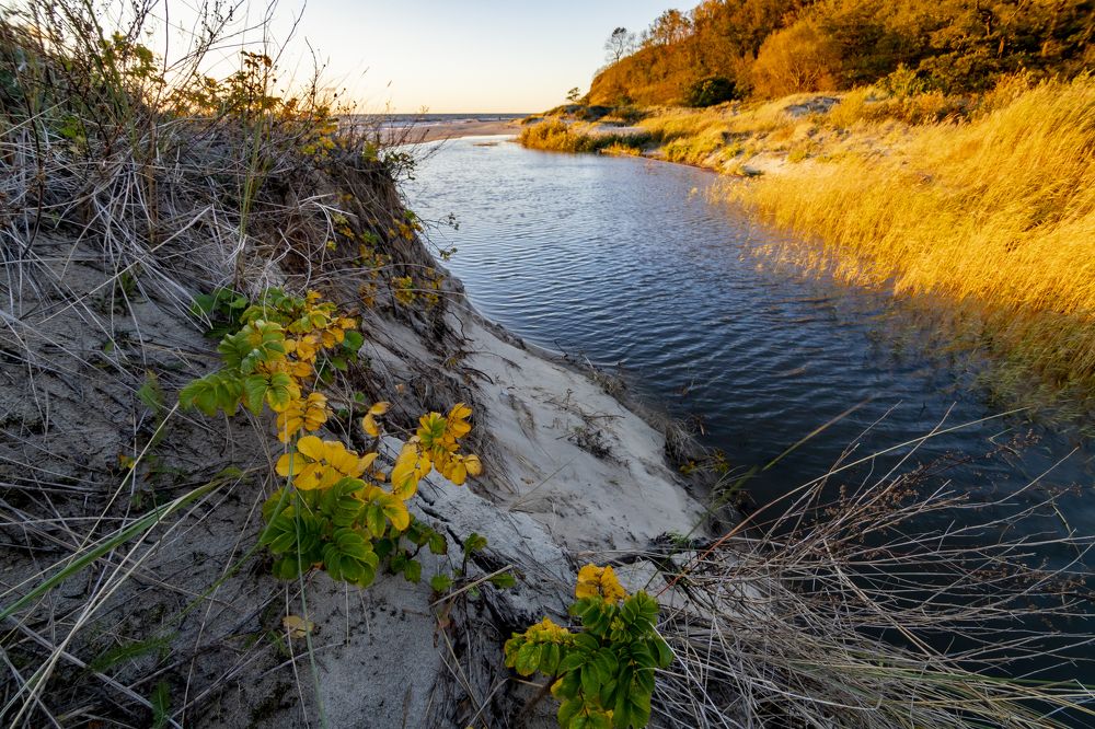 Photograph by Константин Чижов