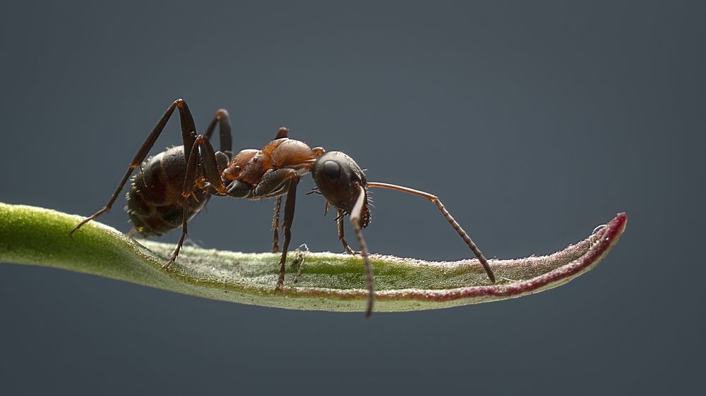 Photograph by Людмила Железнова