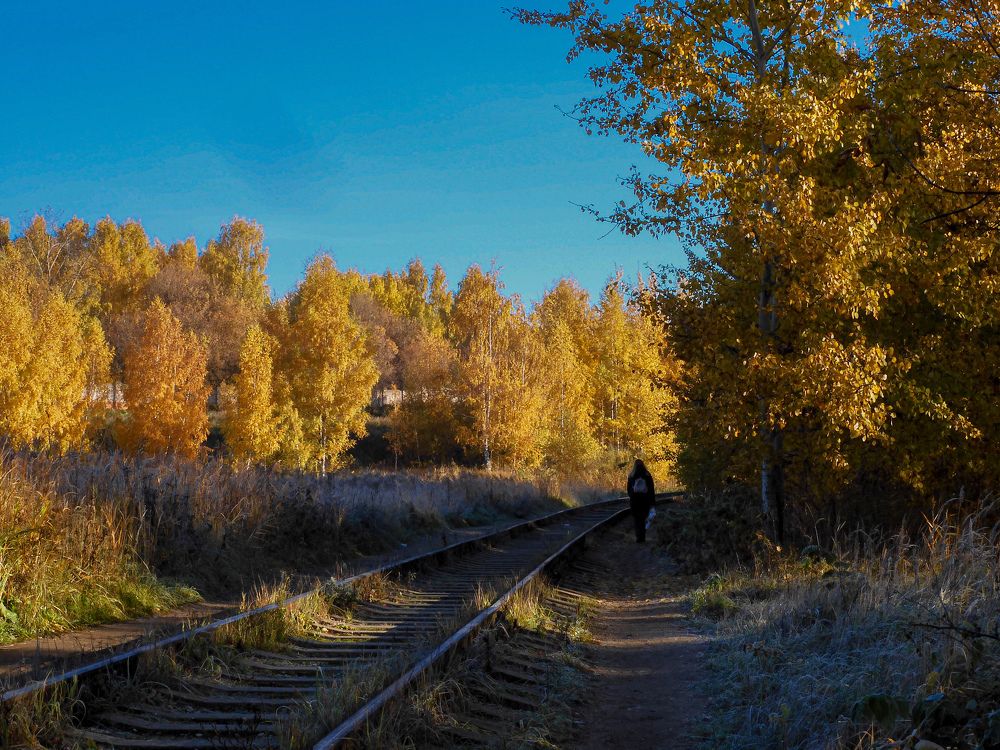 Photograph by Игорь Смирнов