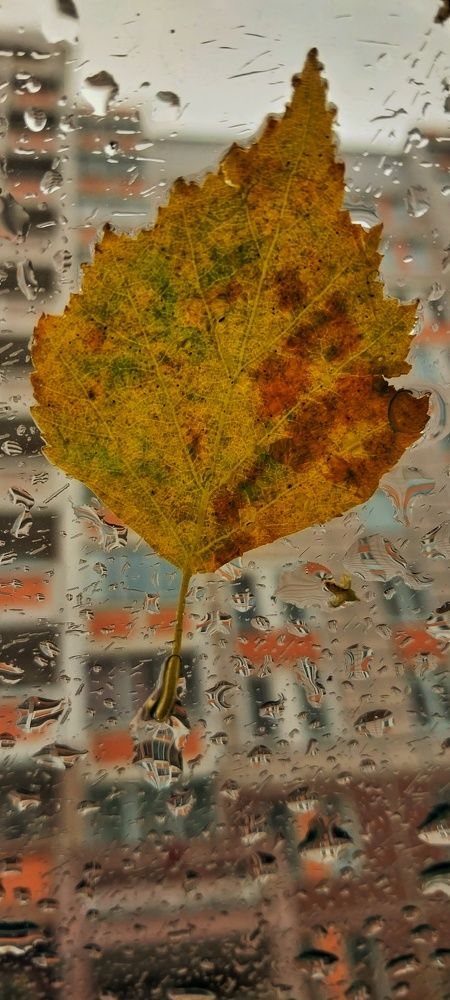 Photograph by Анастасия Липаткина