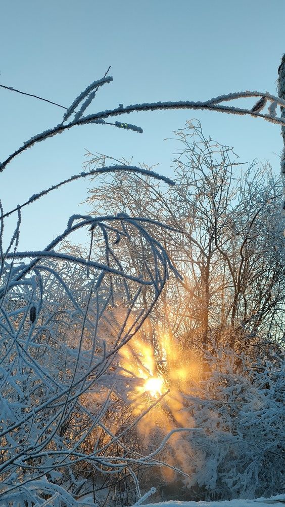 Photograph by Александра Головина