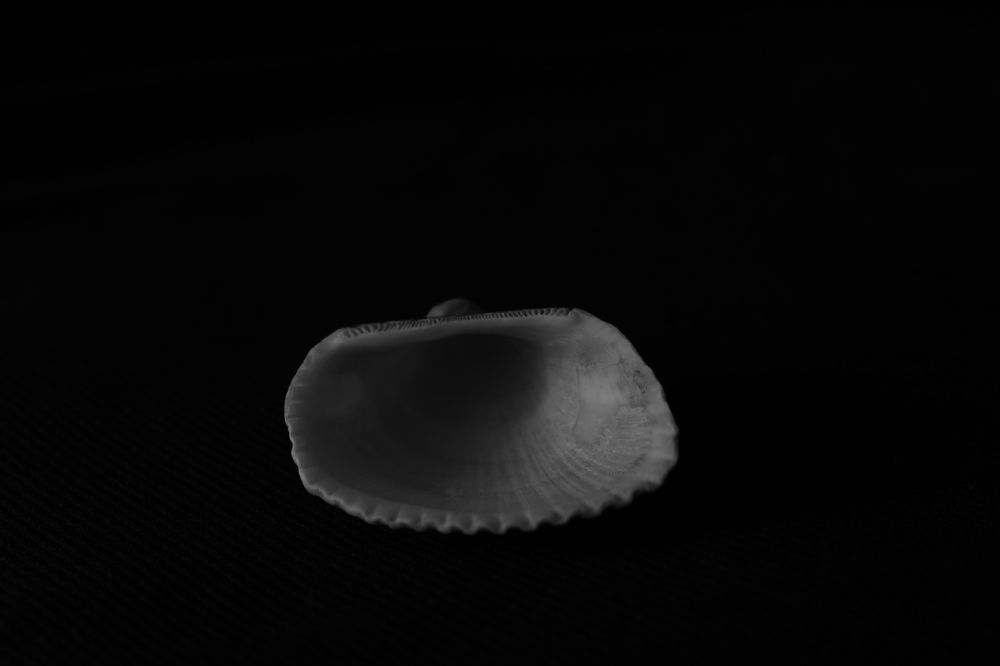 Photograph by Александра Петряева