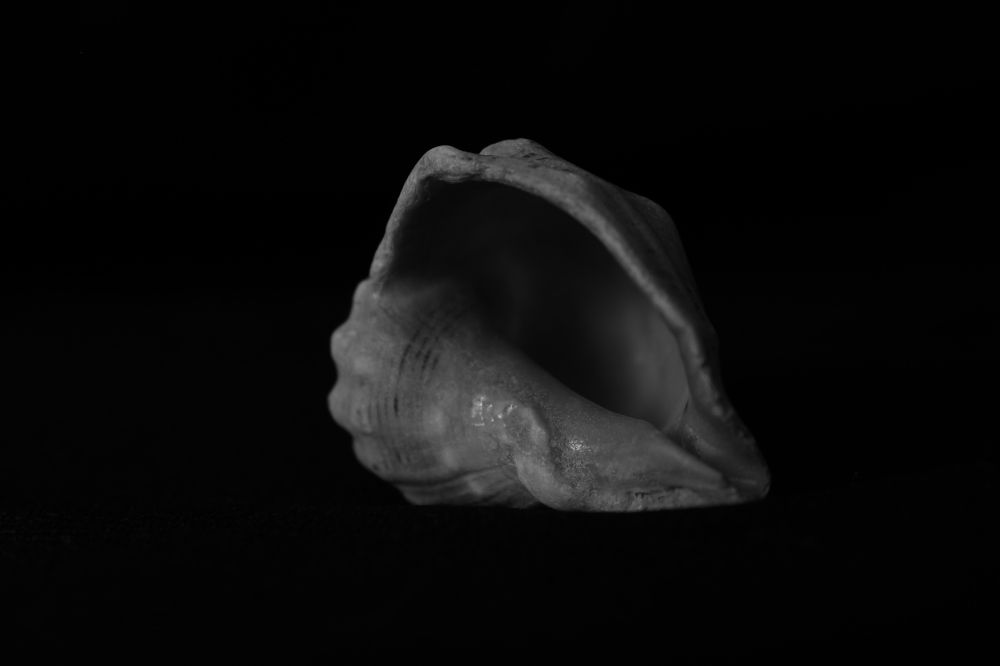 Photograph by Александра Петряева