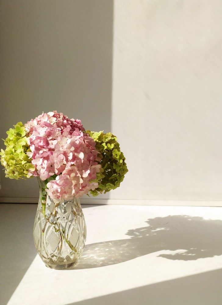 Photograph by Татьяна Клемба