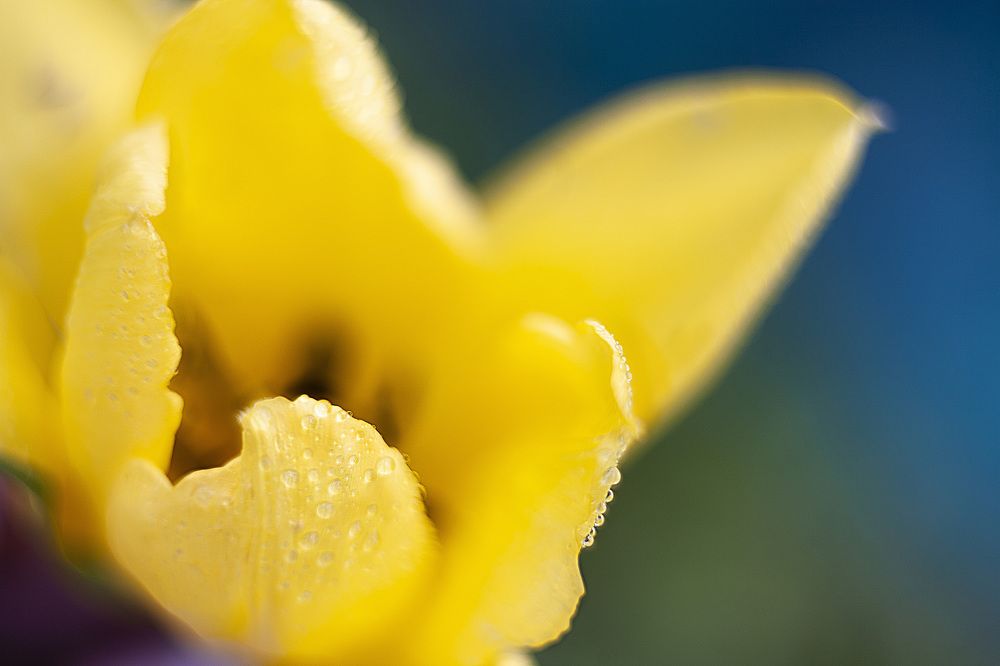 Photograph by Вера Крутилина