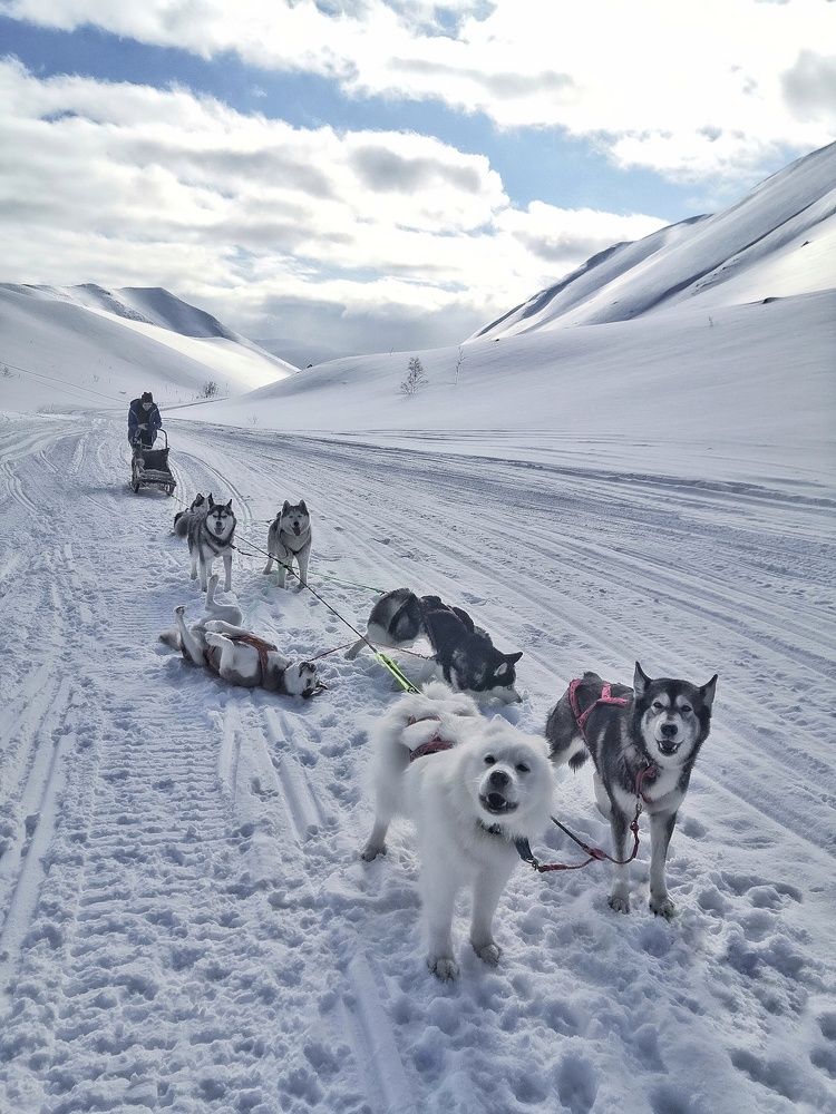 Фотография автора Ольга Сорокина