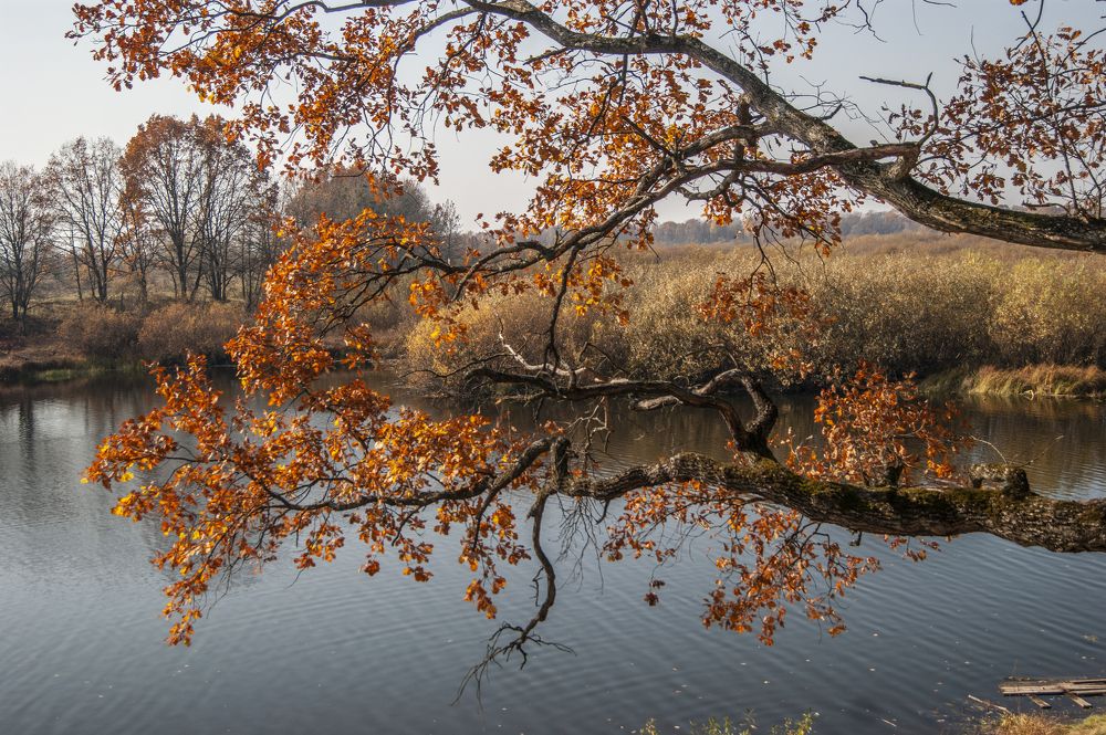 Photograph by Носкова Любовь
