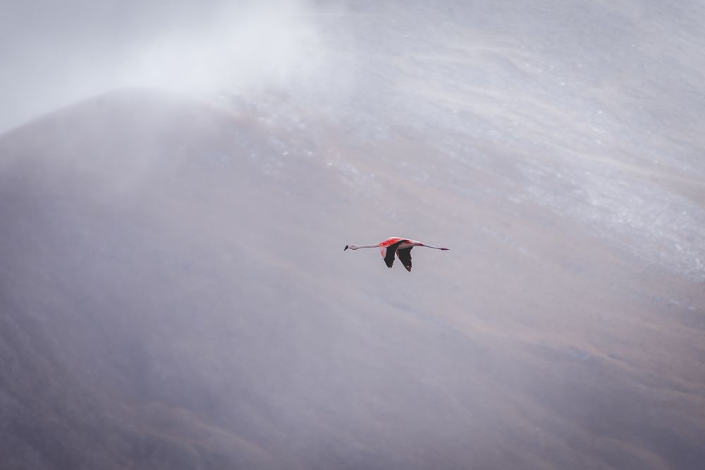 Фотография автора Erich