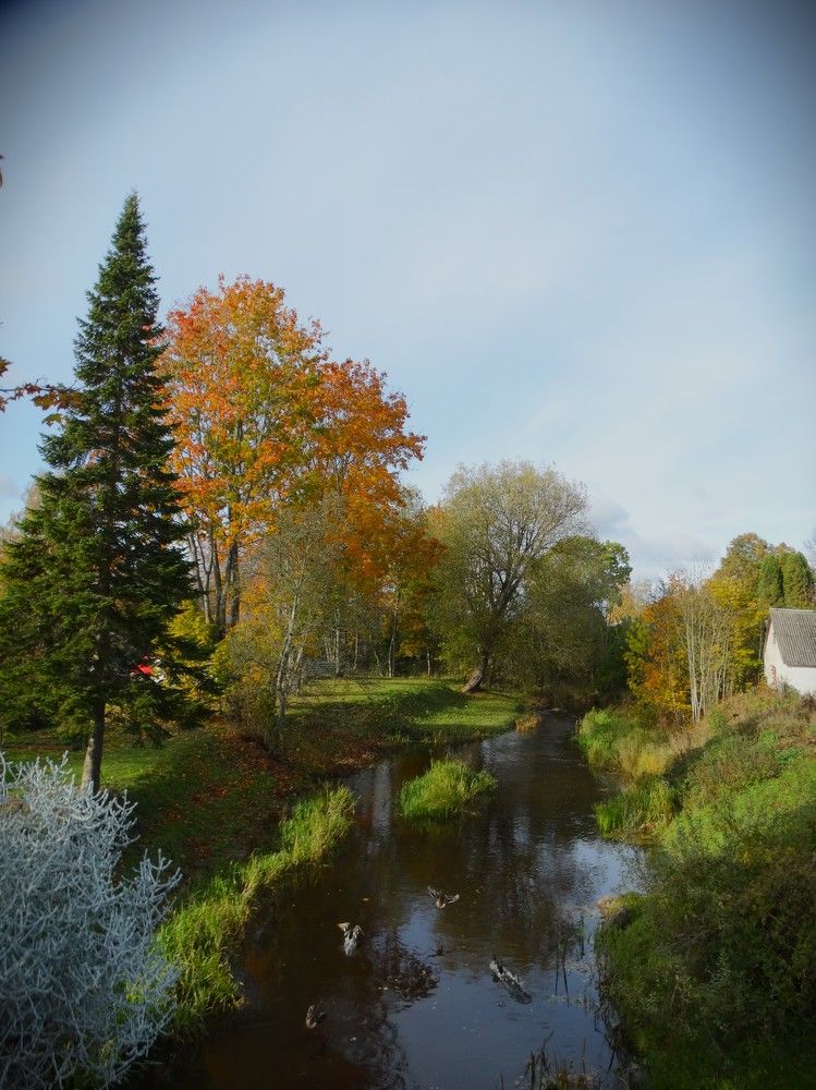 Photograph by ILONA OTRUTSKAYA